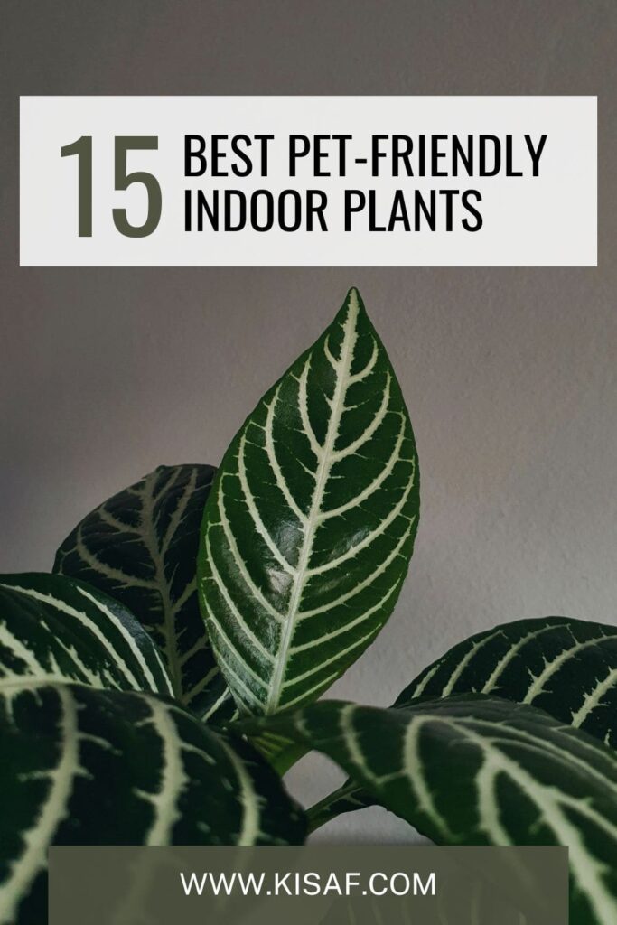 pin for Best Pet-Friendly Indoor Plants