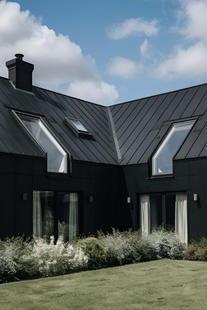 A black house with skylights allowing natural light to enhance the dark exterior