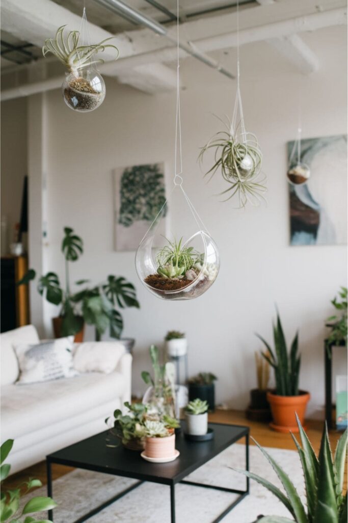 An airy living room featuring hanging terrariums from the ceiling, filled with air plants and small succulents for a modern look