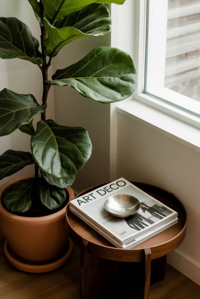 Living room corner decorated with a tall leafy plant, a small side table, and a modern floor lamp