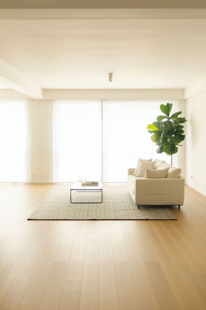Bright minimalist living room with open floor space and one large area rug under the furniture