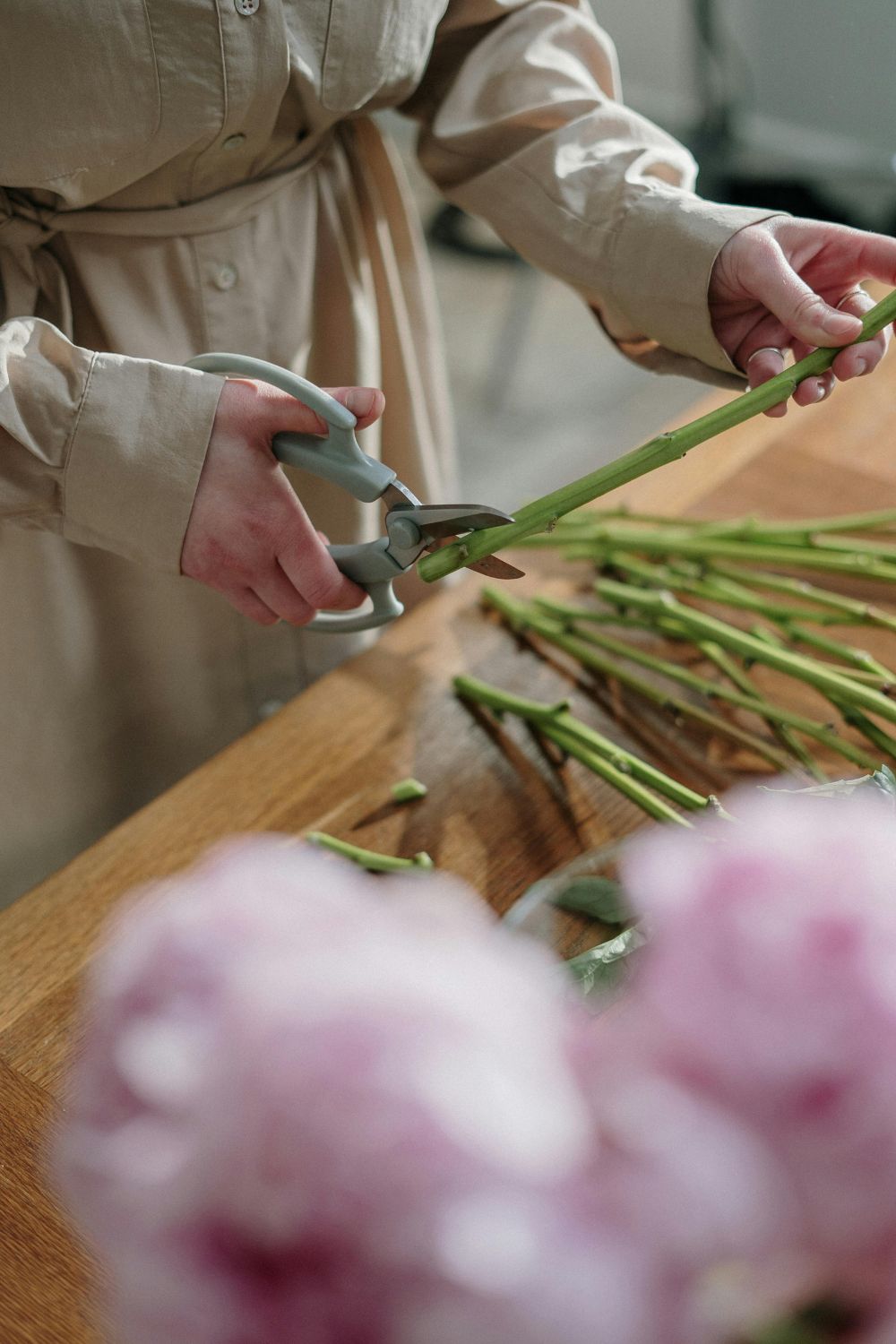 A women pruning stems of a green plant