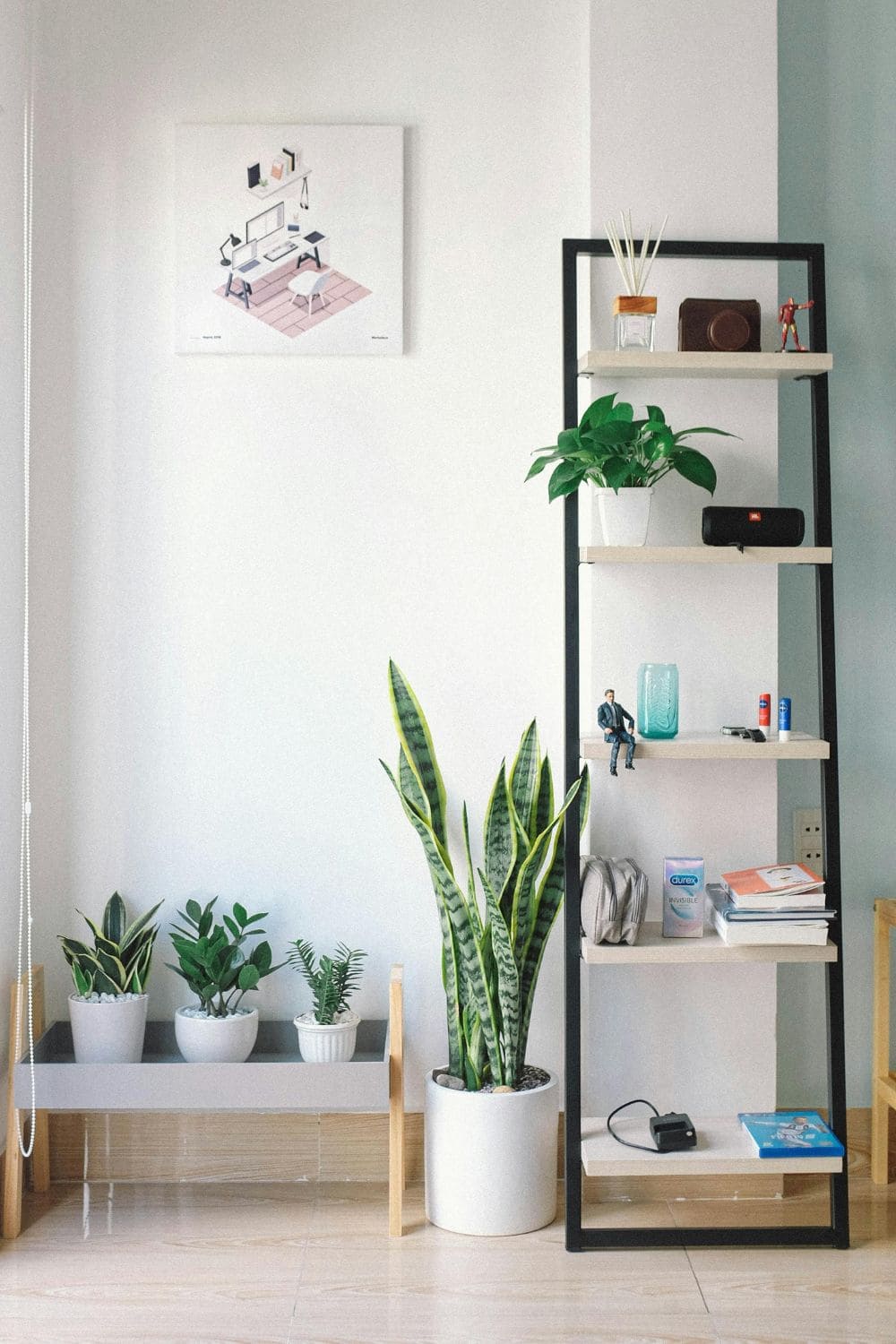 Corner Of A Room Filled With Plants