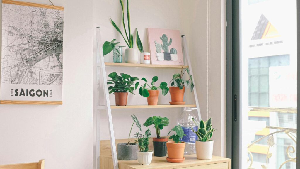 Featured image for Pin for How To Create An Indoor Jungle