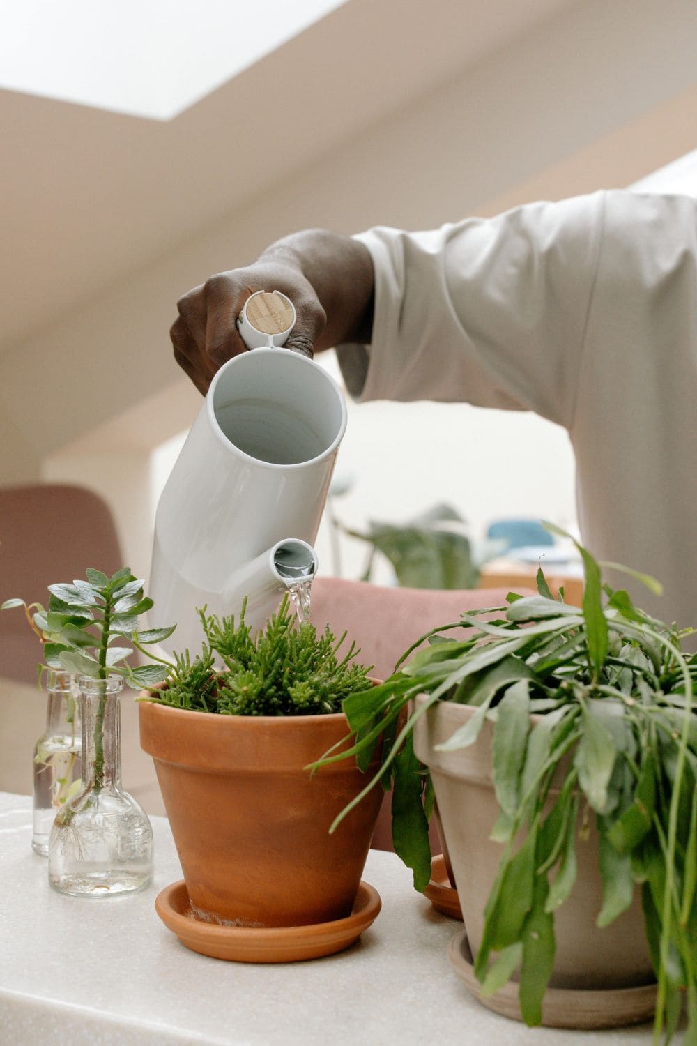 Photo Of A Man Watering Plants