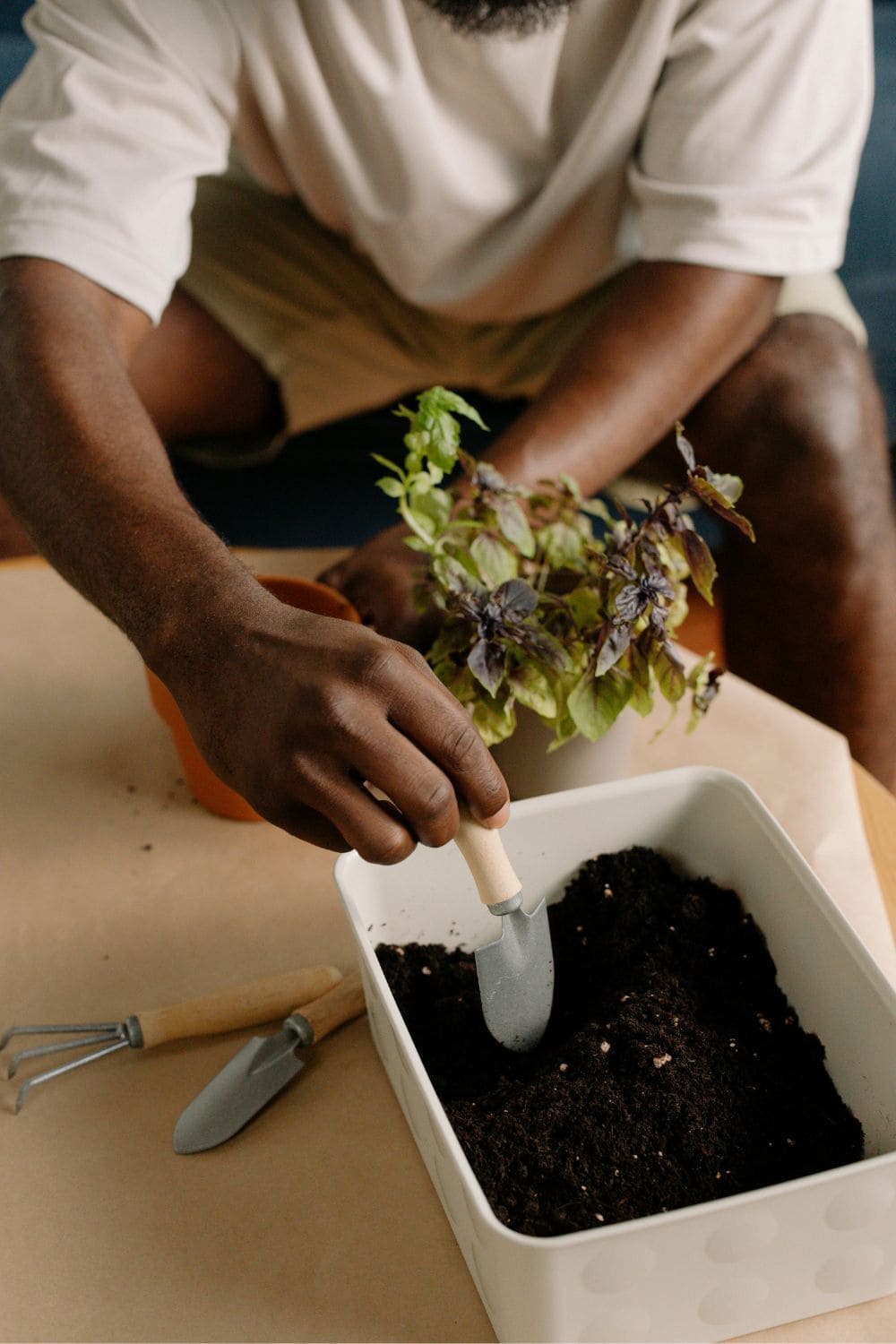 Photo Of Man Repotting A Plant