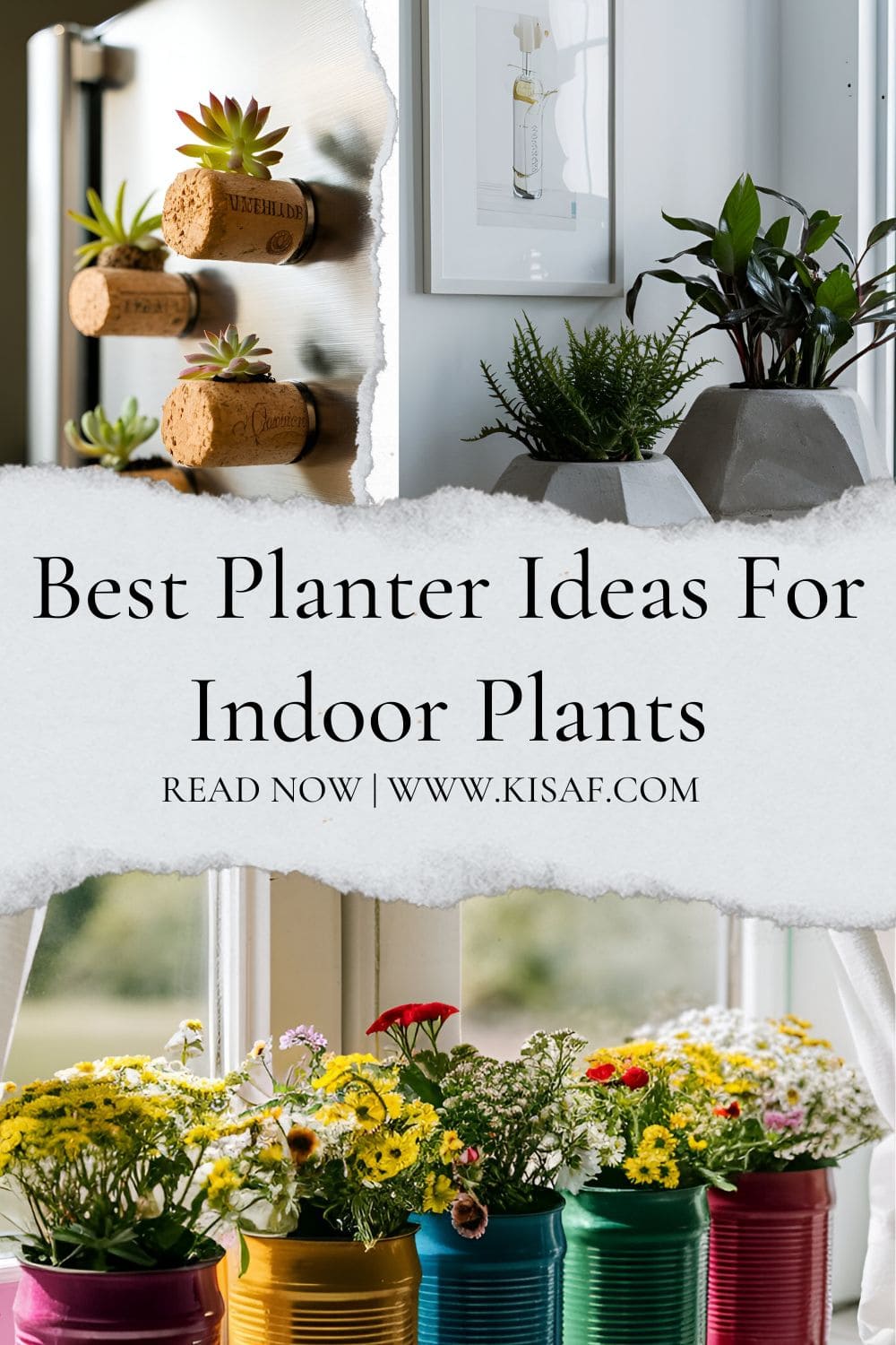 Pin for Planter Ideas For Indoor Plants 