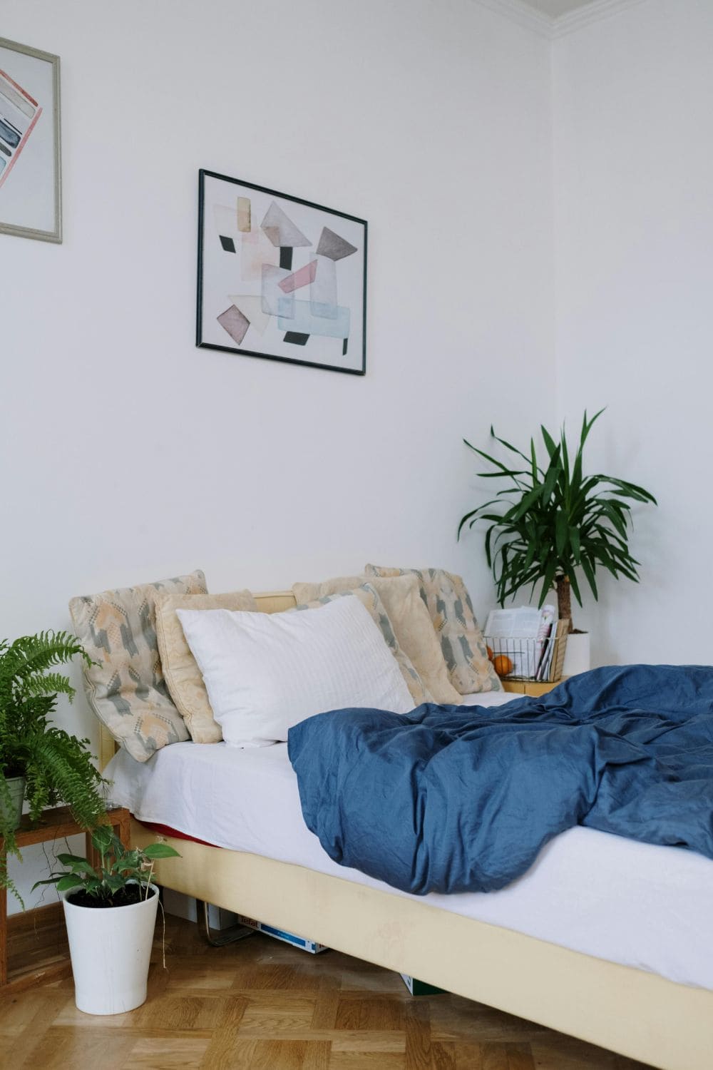 Plants in a bedroom