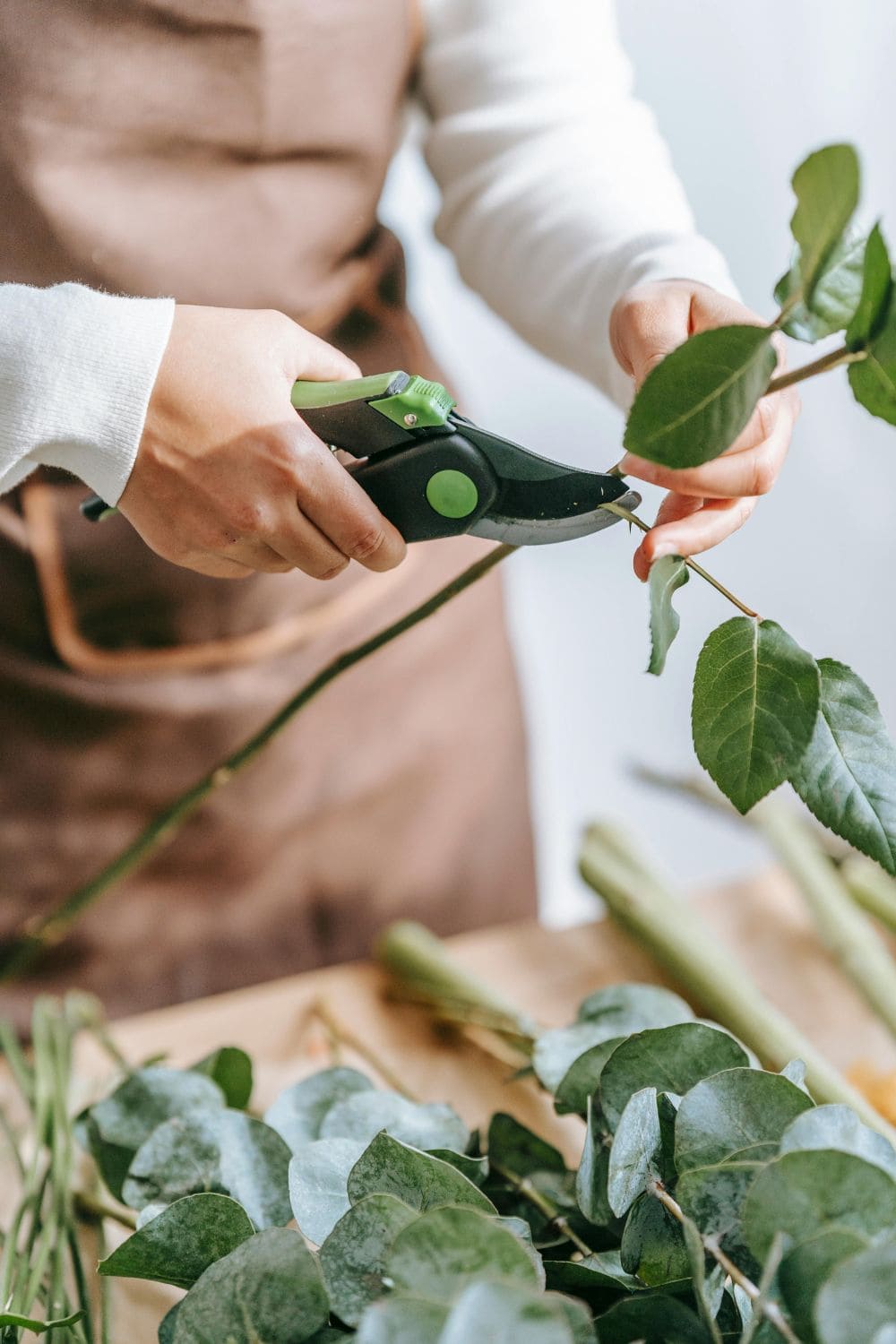 a women cutting branches of a plant