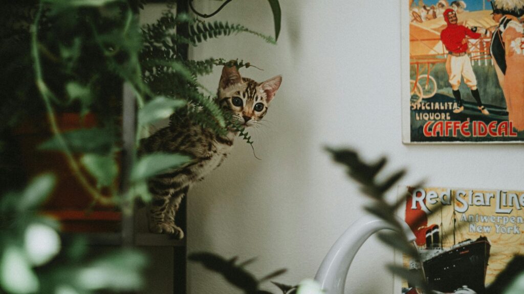 featured image for Best Pet-Friendly Indoor Plants