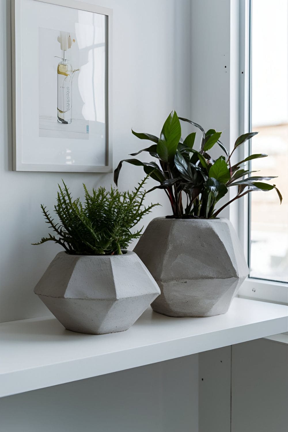 plants in Concrete Planters